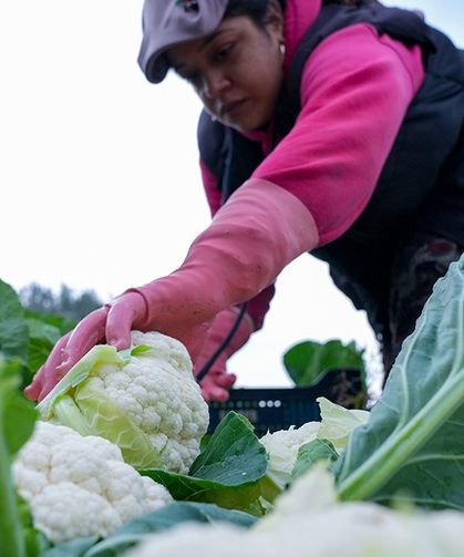 Tarım ve Orman Bakanı Yumaklı açıkladı: Destekleme ödemesi yapılacak