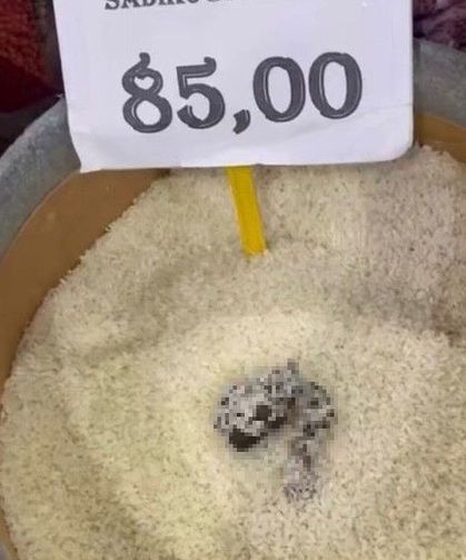 Markette skandal görüntü: Pirinçten dışkı çıktı!