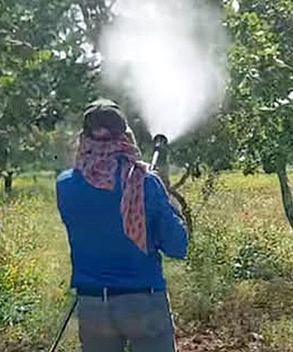Antepfıstığı üreticileri hastalıklar ve zararlılarla mücadele başlattı