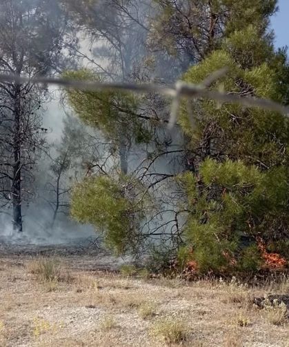 Şanlıurfa'da alevler ormana sıçradı!