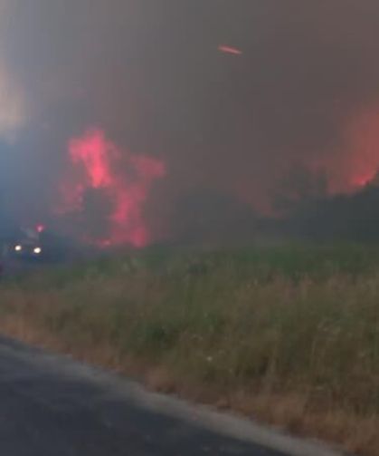 Çanakkale'de orman yangını