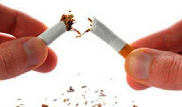 DSÖ: Yılda 8 Milyon İnsan Tütün Kullanımı Nedeniyle Ölüyor