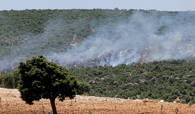 Gaziantep'te ormanlık alanda çıkan yangın söndürüldü