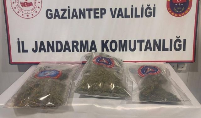 Gaziantep'te 1 Kilo Esrar Ele Geçirildi