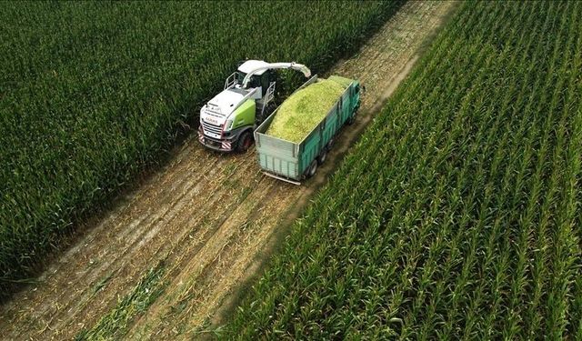 Tarım ve Orman Bakanlığı: destekleme ödemesini çiftçilerimizin hesaplarına aktarıyoruz