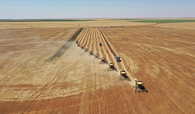 Tarımsal destekleme ödemesi bugün çiftçilerin hesaplarına aktarılacak