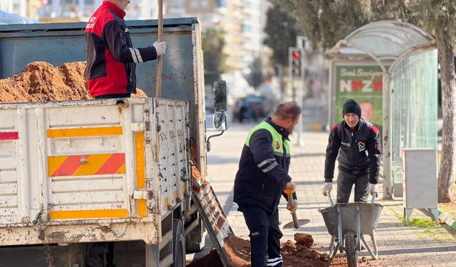 Nizip Belediyesi güneşin ilk ışıklarıyla mesaiye başlıyor