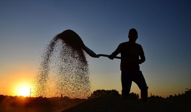 Çiftçilere yaklaşık 2,2 milyar lira tarımsal destek ödemesi yapılacak