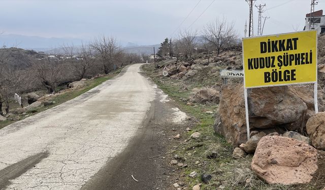 Kuduz alarmı: Mahallelerde karantina başlatıldı