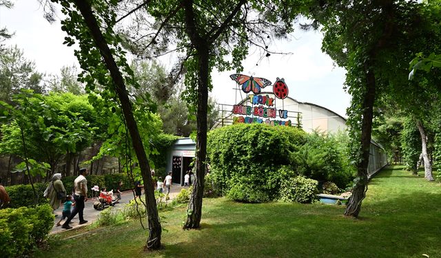 Gaziantep Doğal Yaşam Parkı artık daha "renkli"