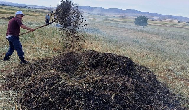 Araban'da firik sezonu başladı