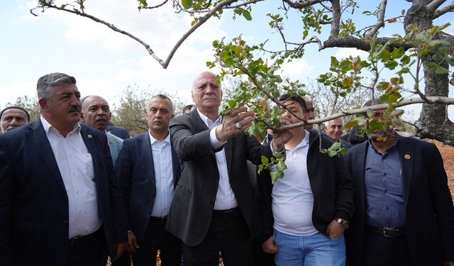 TZOB Genel Başkanı Bayraktar Gaziantep'te inceleme yaptı! Verim kaybı yaşanacak
