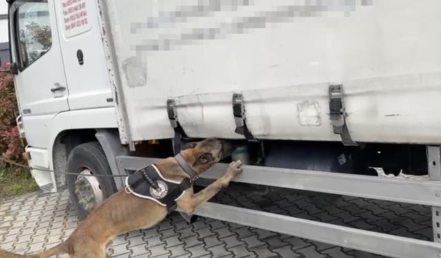 Narkotik köpeği tepki verdi, klimaların arasından binlerce uyuşturucu çıktı