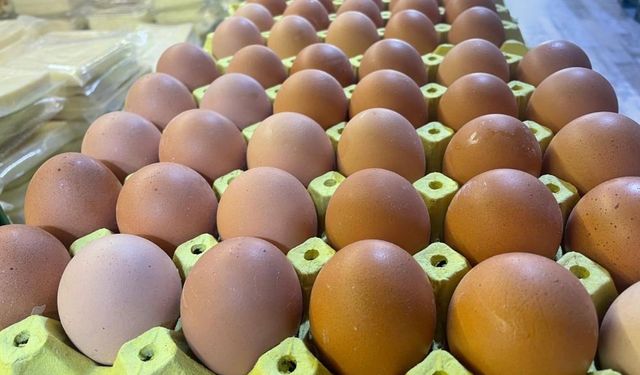 Yumurta kabuğu deyip geçmeyin sanayide çok değerli!