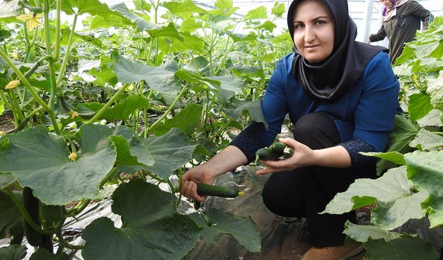 Gaziantepli kadınlar üretime katkı sağlıyor