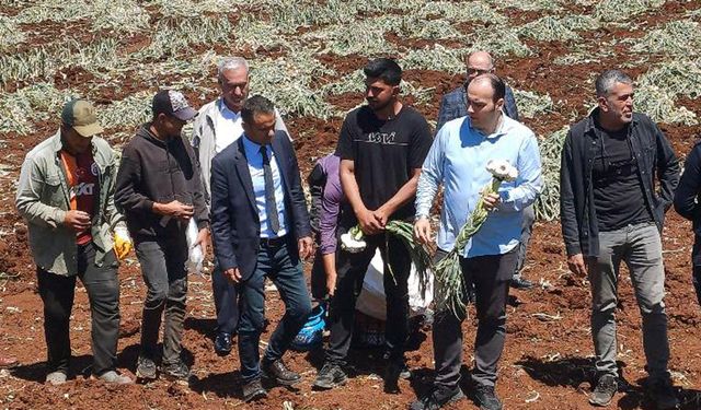 Gaziantep’te Dünya Çiftçiler Günü sarımsak tarlasında kutlandı