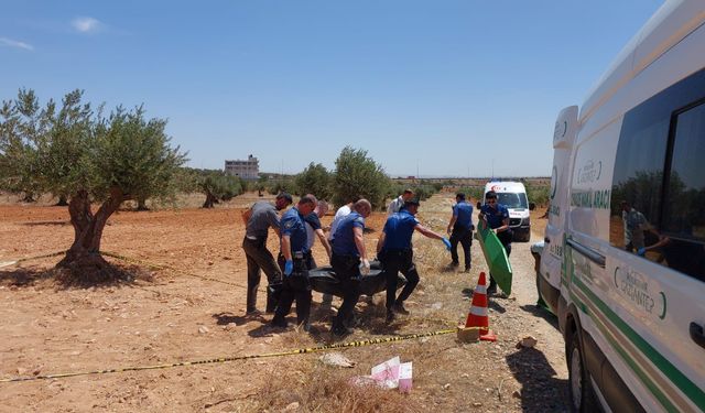 Gaziantep'te bir genç zeytin tarlasında ölü bulundu