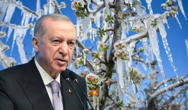 Cumhurbaşkanı Erdoğan uyardı: Bazı meyveleri yiyemeyeceğiz