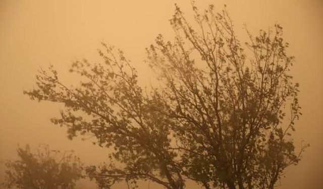 Meteorolojiden Güneydoğu'da bazı iller için toz taşınımı uyarısı