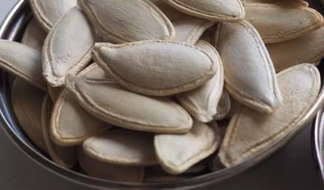 Kabak çekirdeğinde salmonella şoku: Ürün raflardan toplatıldı