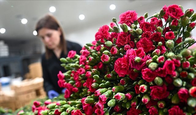 Anneler Günü için 30 ülkeye çiçek ihraç edildi