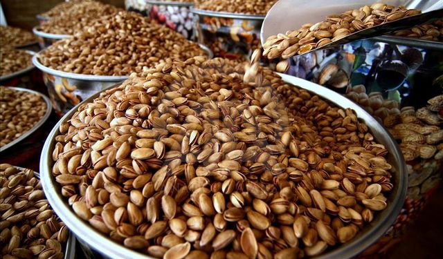 Bakanlık ifşa etti! Antep Fıstığına da hile karıştı…