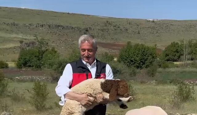 Tahmazoğlu’ndan Kurban Uyarısı!