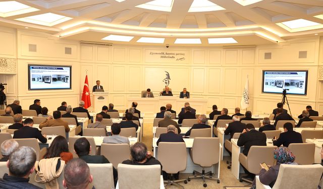 BÜYÜKŞEHİR BELEDİYESİ MECLİS KARARLARI İNCELEME RAPORU