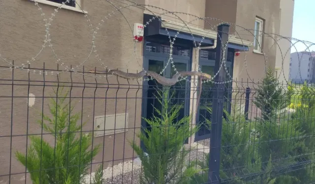 Gaziantep'te site bahçesinde yılan paniği