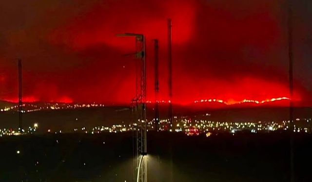 Orman yangınları can almaya devam ediyor! 1 kişi hayatını kaybetti