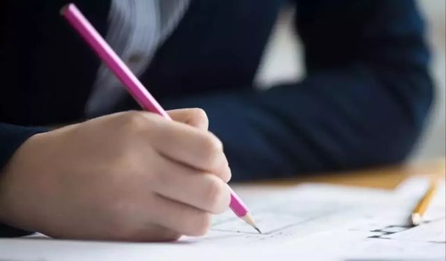 MEB duyurdu! LGS Yerleştirme Sonuçları açıklandı! 2025 LGS sonucu sorgulama ekranı