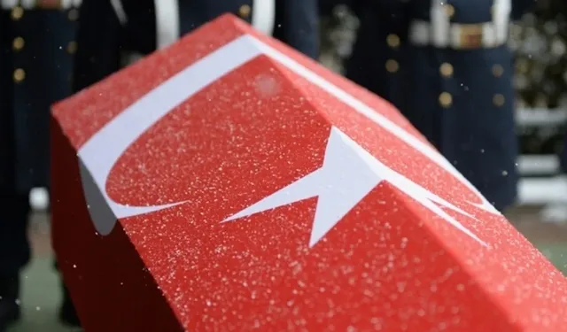 Türkiye şehitlerine ağlıyor! Şehitlerimizin kimlikleri belli oldu...