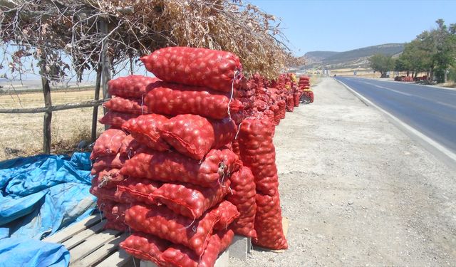 Gaziantepli çiftçi soğanı yol kenarında satıyor!