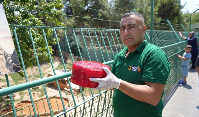 Gaziantep Doğal Yaşam Parkı'nda buzlu kokteyllerle serinliyorlar