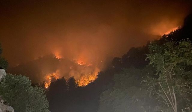 Mersin'de iki ilçede orman yangınları sürüyor