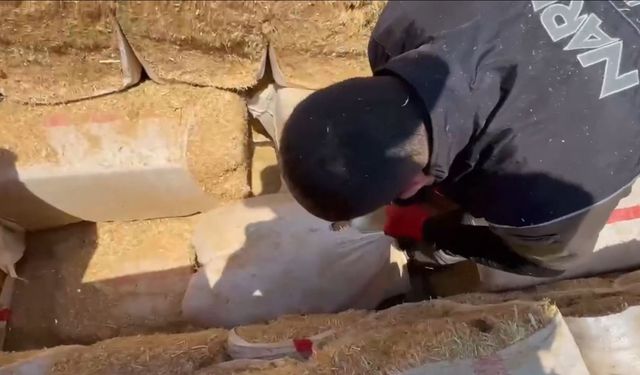 Zehir tacirlerine geçit yok! Gaziantep merkezli 73 ilde operasyon! 1695 şüpheli yakalandı