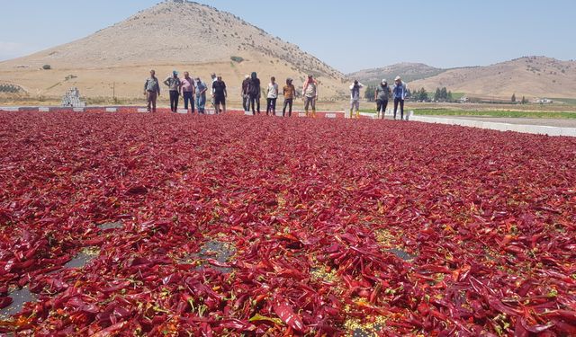 Gaziantep’te acı mesaisi başladı…