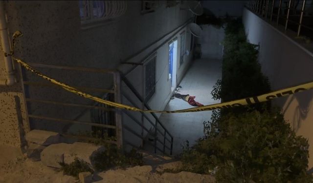 Polise saldıran kadın, bacağından vuruldu