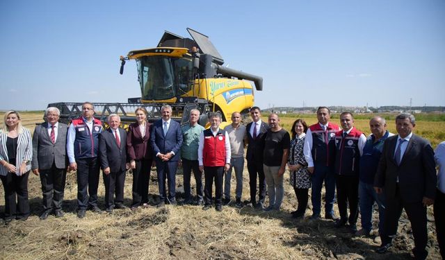 Çeltikte rekor üretim hedefi! 988 bin ton…