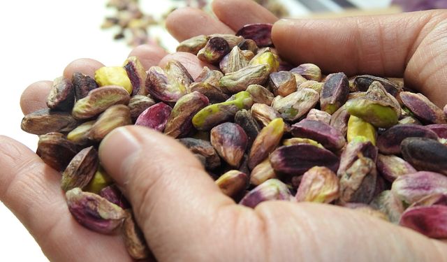 Dünyanın en iyi 100 mutfağı belli oldu! TasteAtlas listesinde Antepfıstığı detayı...