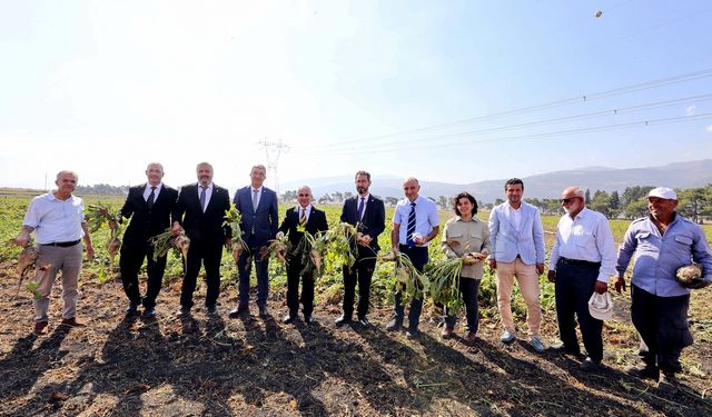 Rektör Doğan, Nurdağı MYO’da pancar hasadına katıldı