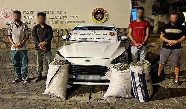 Gaziantep JASAT hırsızlara aman vermiyor! Suçüstü yakalandılar…