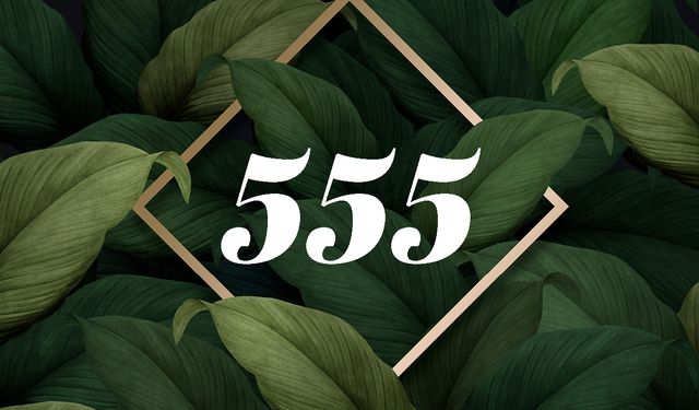 555 Ne Demek, 555 Sayısının Anlamı Ne? | Numeroloji Yorumları