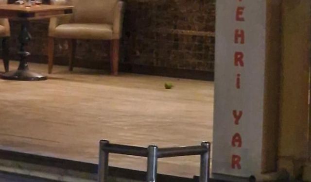 Pastaneye pimi çekilmemiş el bombası atıldı