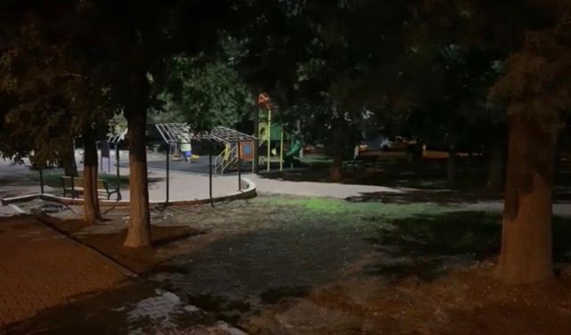 Gaziantep'te parkta vahşet: Kaskla öldürüldü