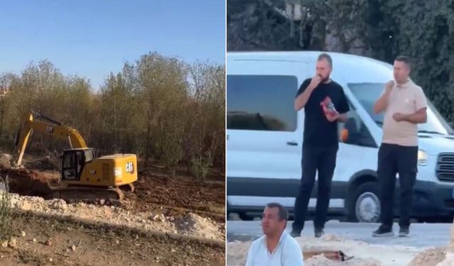 Gaziantep’te güldüren manzara! Çekirdeklerini alıp…