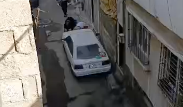 Gaziantep’te korkunç olay! Kardeşini ve annesini defalarca bıçakladı! (VİDEO HABER)