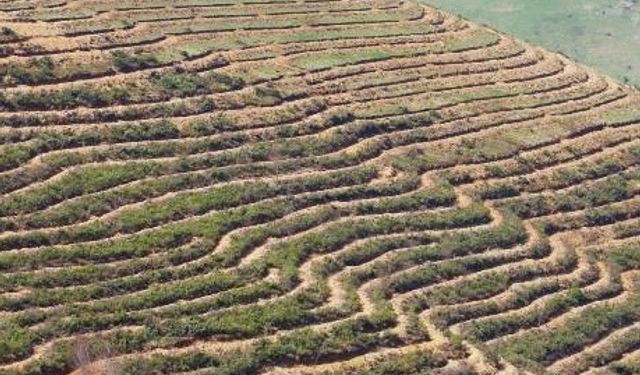 TOPRAK İŞLEME HİZMET ALIM İŞİ