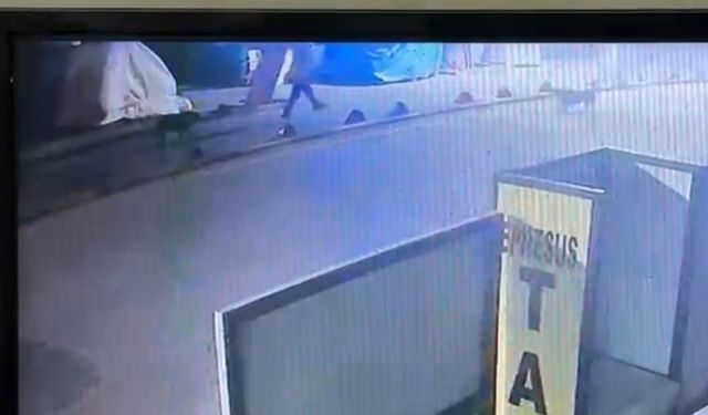 Kendisine saldıran sokak köpeğini vurmuştu! Emekli astsubay serbest bırakıldı