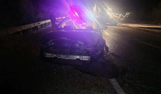 Belediye Başkanı'nın makam aracı domuz sürüsüne çarptı!